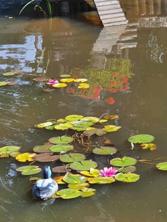 Sassetot-le-Mauconduit La Mare Aux Canards מראה חיצוני תמונה